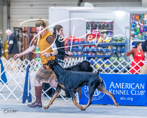 20230305-DSC09606