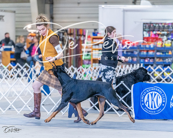 20230305-DSC09608