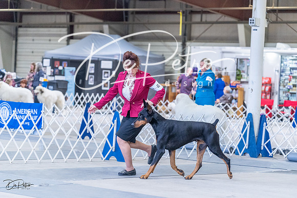 20230305-DSC09632