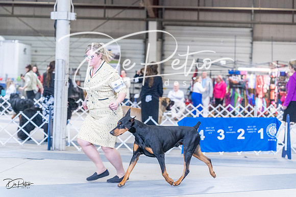 20230305-DSC09639