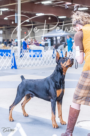 20230305-DSC09655