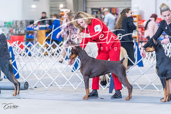 20230305-DSC09671