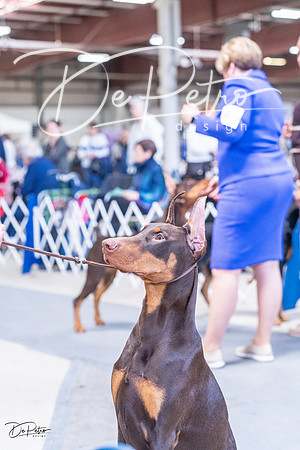 20230305-DSC09757