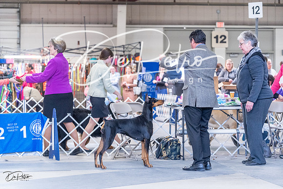 20230305-DSC09792