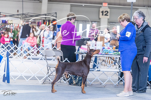 20230305-DSC09837