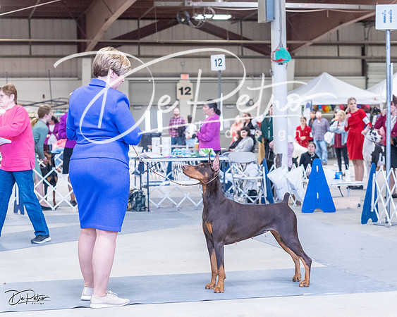20230305-DSC09889