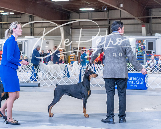20230305-DSC09893