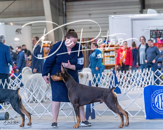 20230305-DSC09901