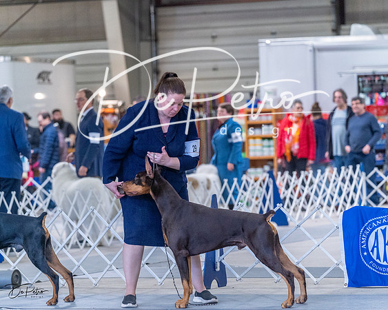20230305-DSC09902
