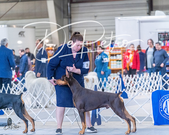 20230305-DSC09903