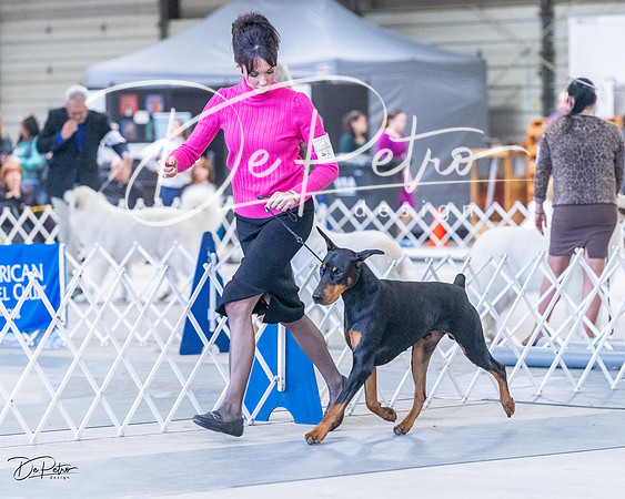 20230305-DSC09924