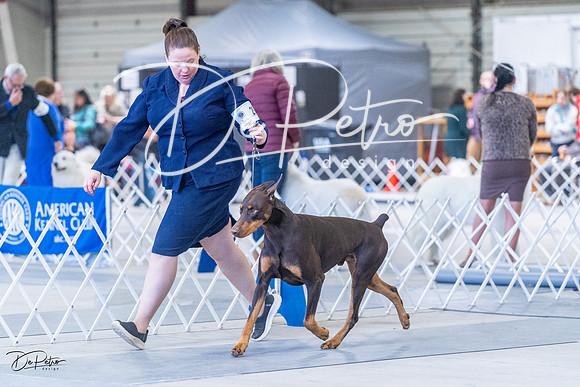 20230305-DSC09943