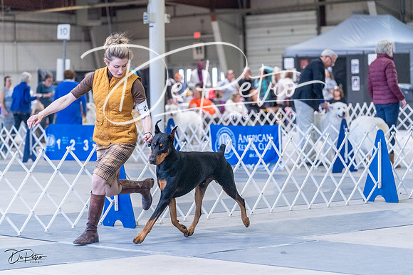 20230305-DSC09965