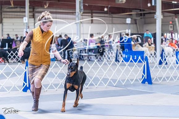 20230305-DSC09977
