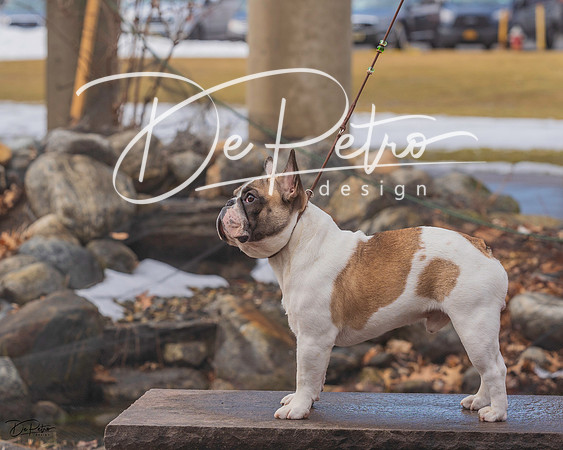 20220306-DSC01995