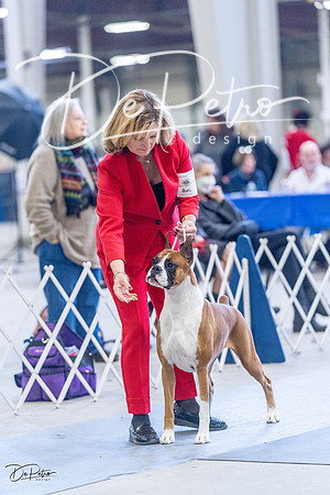 20230305-DSC00961