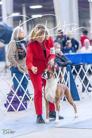 20230305-DSC00962