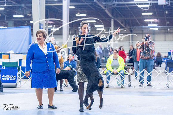 20230305-DSC00953