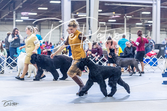 20230305-DSC01005