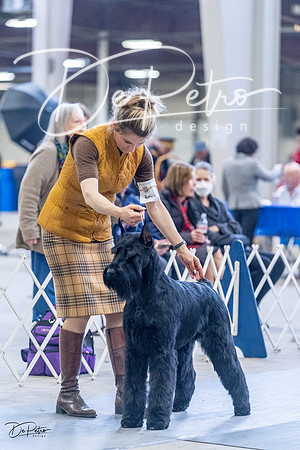 20230305-DSC01000