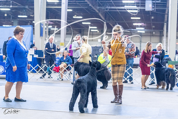 20230305-DSC01019