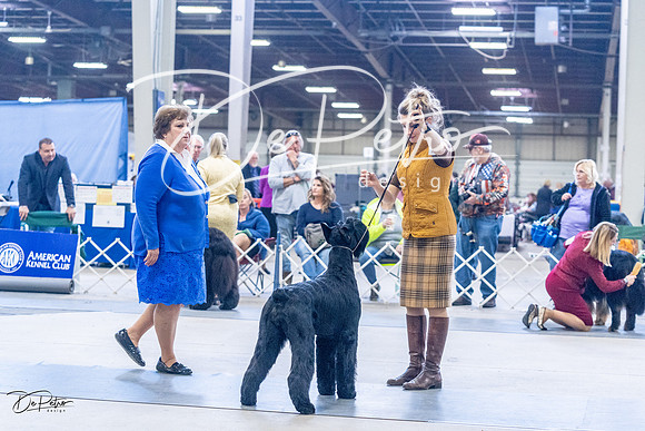 20230305-DSC01024