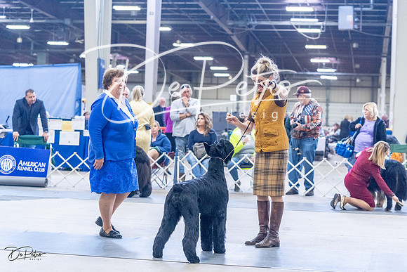 20230305-DSC01025