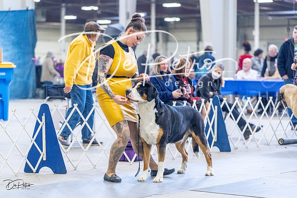 20230305-DSC01033