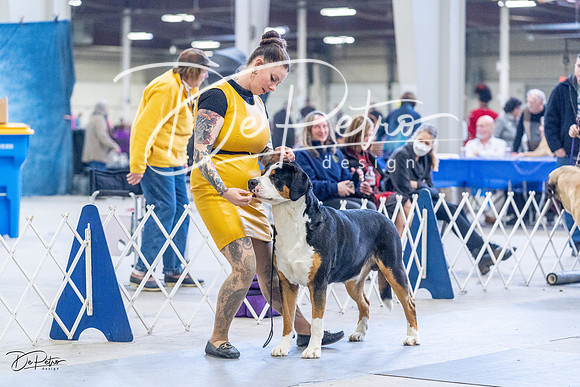 20230305-DSC01034