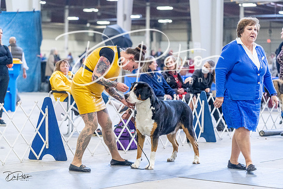 20230305-DSC01042