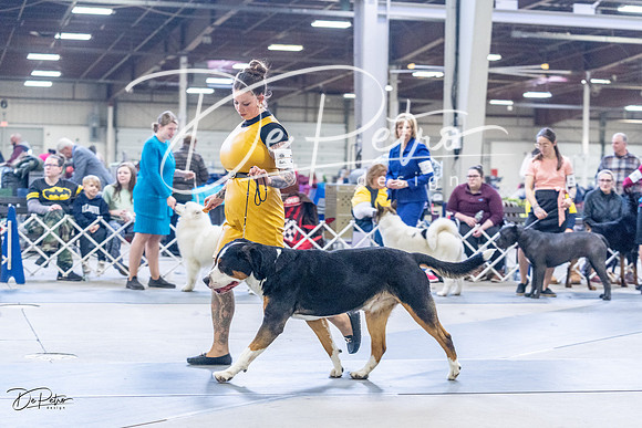 20230305-DSC01047