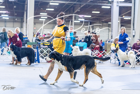 20230305-DSC01050
