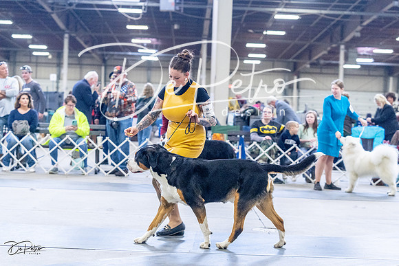 20230305-DSC01055