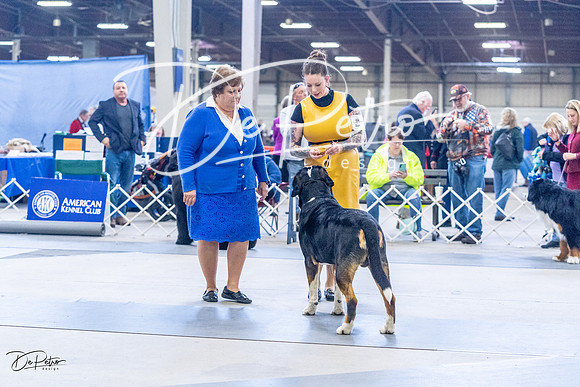20230305-DSC01059