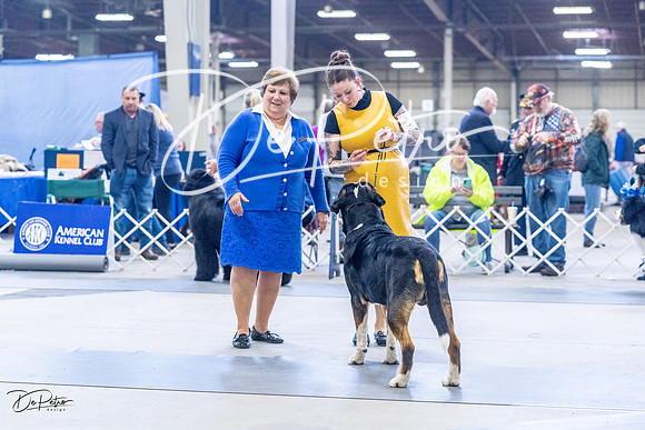 20230305-DSC01060