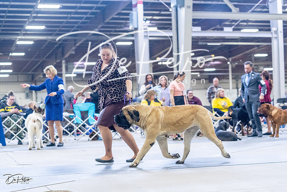 20230305-DSC01073