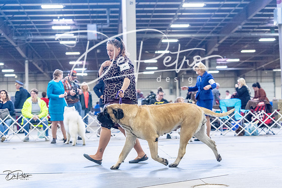 20230305-DSC01080