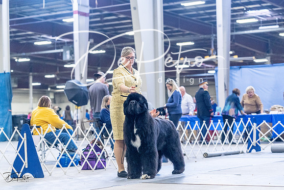 20230305-DSC01095