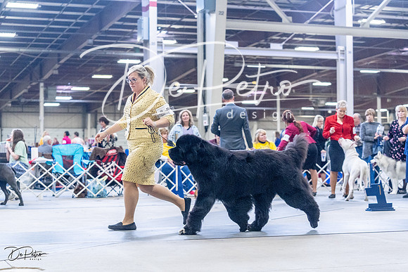 20230305-DSC01100