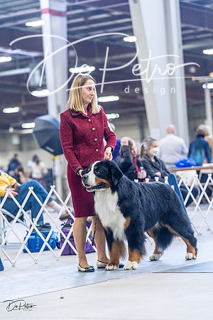 20230305-DSC01123
