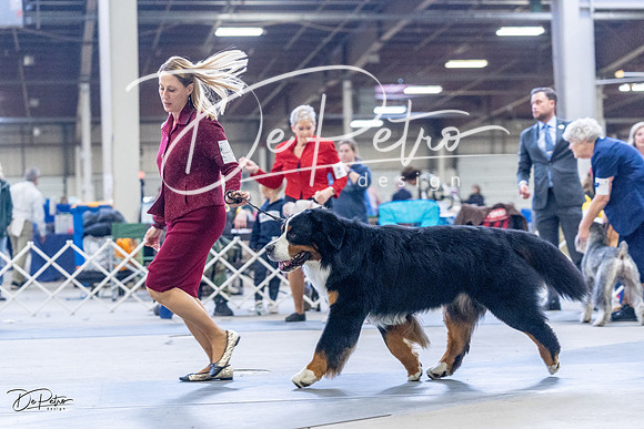 20230305-DSC01130