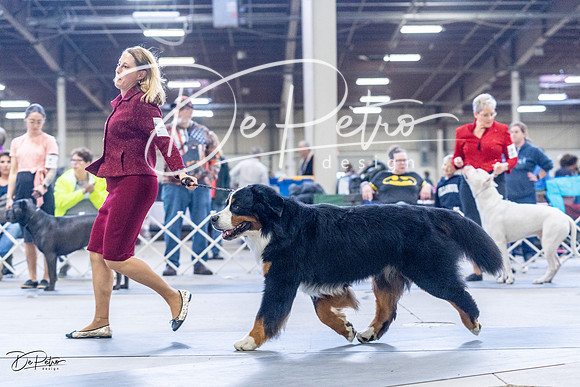 20230305-DSC01135