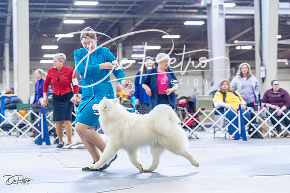 20230305-DSC01162