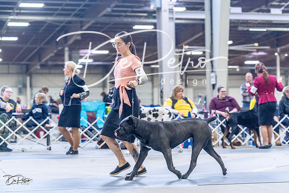 20230305-DSC01214