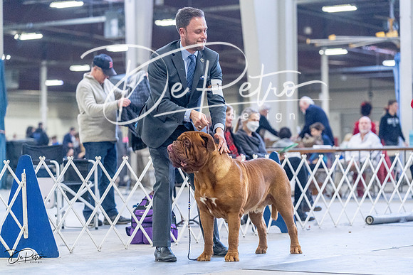 20230305-DSC01226