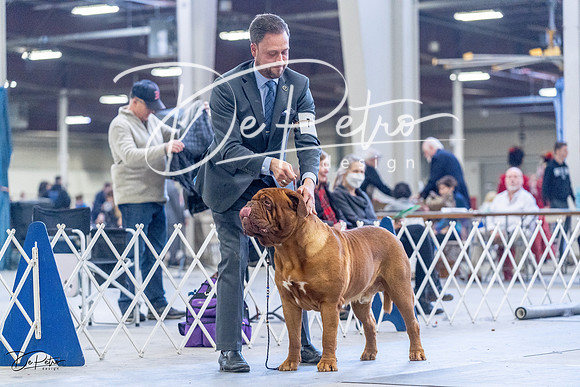 20230305-DSC01227