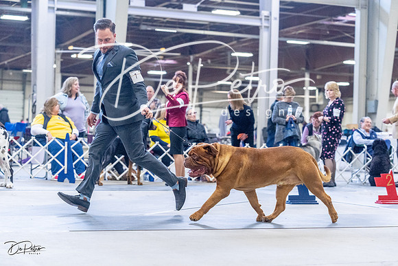 20230305-DSC01238