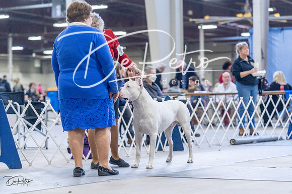 20230305-DSC01255
