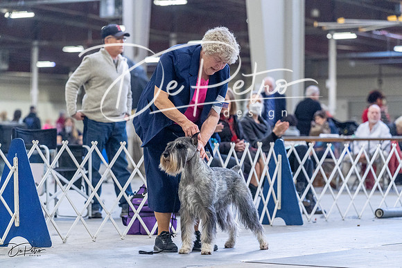 20230305-DSC01278