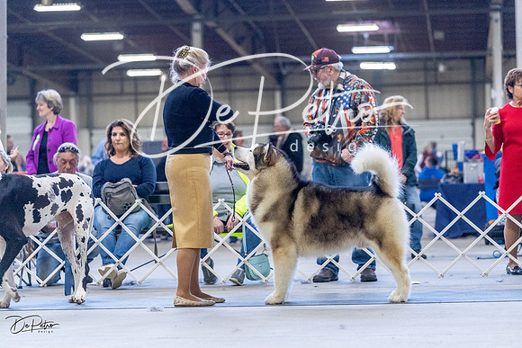 20230305-DSC01281